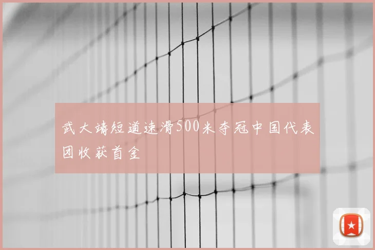 武大靖短道速滑500米夺冠中国代表团收获首金