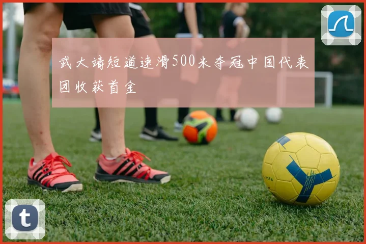 武大靖短道速滑500米夺冠中国代表团收获首金